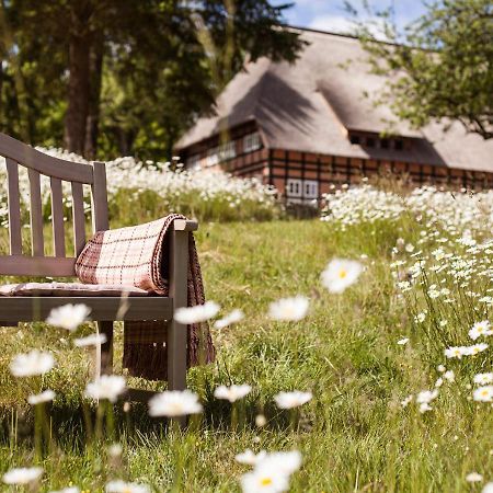 Park Am See X Nattika Ayurveda, Hotel Health Spirit Penzlin Extérieur photo